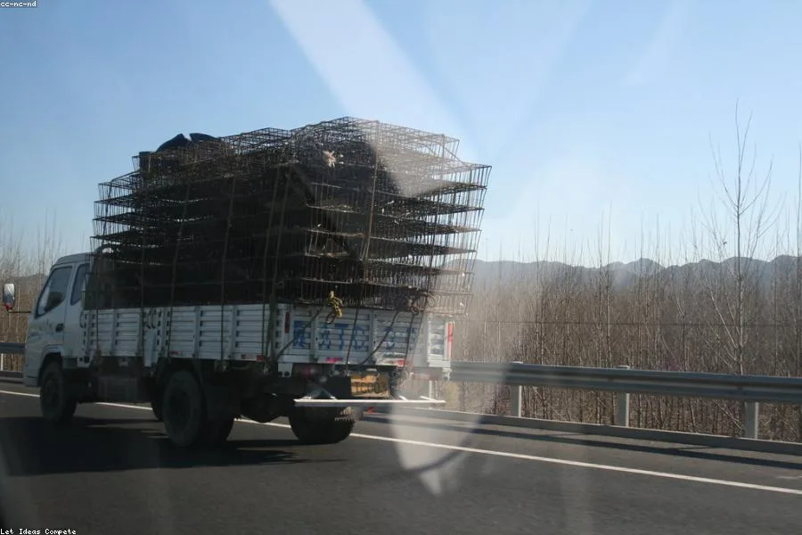 Property in Transit